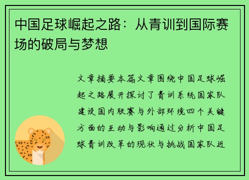 中国足球崛起之路：从青训到国际赛场的破局与梦想